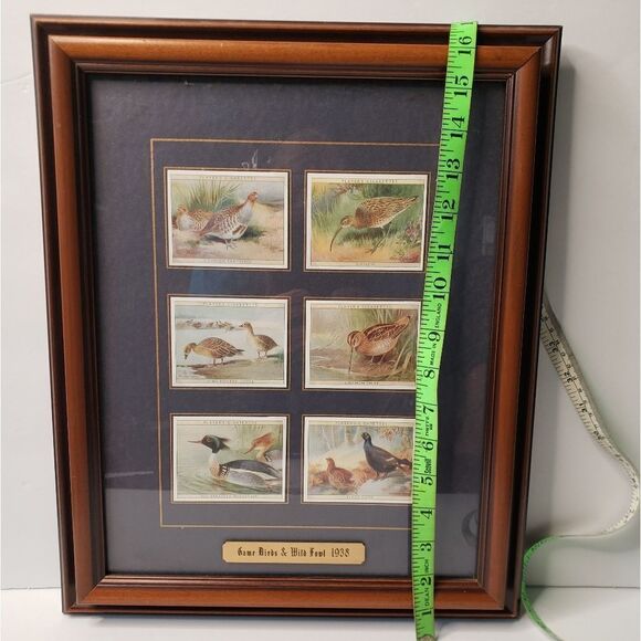 Players Cigarette Cards Game Birds & Water Fowl - Picture 10 of 11